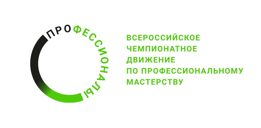 Региональный этап Чемпионата по профессиональному мастерству «Профессионалы»-2025